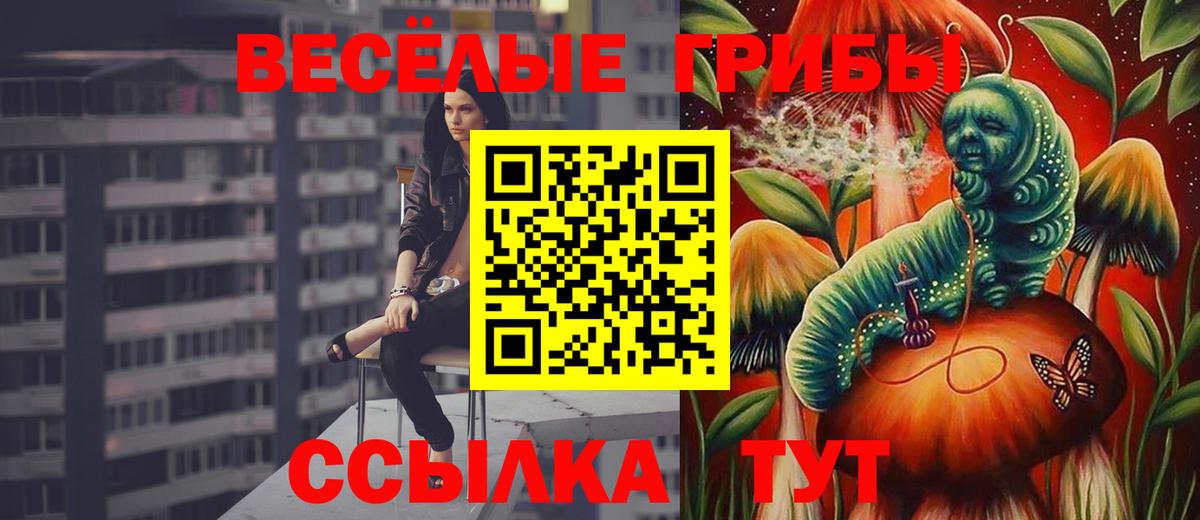 Галлюциногенные грибы Cubensis  наркота  Псилоцибиновые грибы Cubensis  Спасск-Дальний  Вход с VPN 